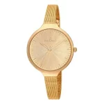 Montre Femme Radiant 39 mm