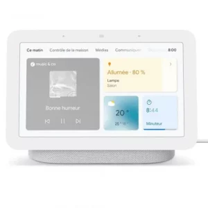 Google Nest Hub 2eme génération galet
