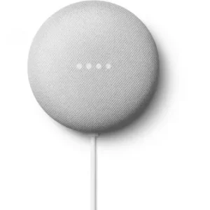 Google-Nest-mini-galet-tendance-600×335